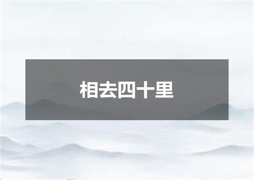 相去四十里