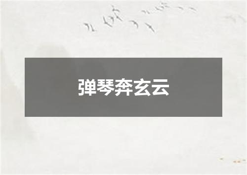 弹琴奔玄云