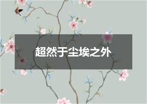 超然于尘埃之外