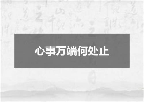 心事万端何处止