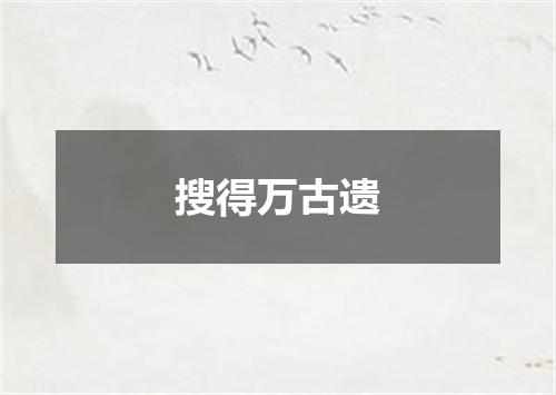 搜得万古遗