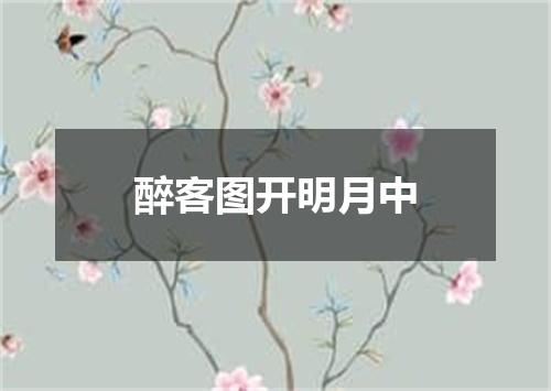 醉客图开明月中