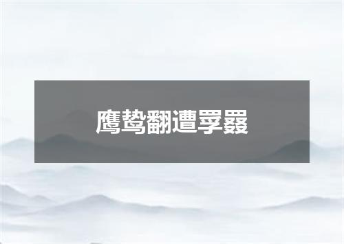 鹰鸷翻遭罦罬