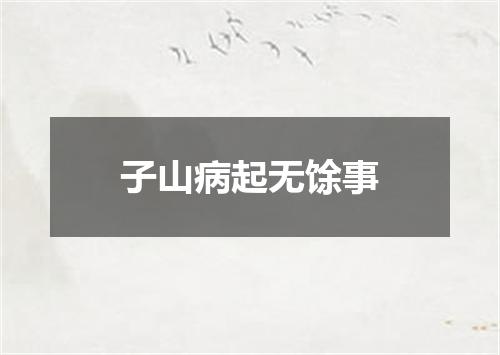 子山病起无馀事