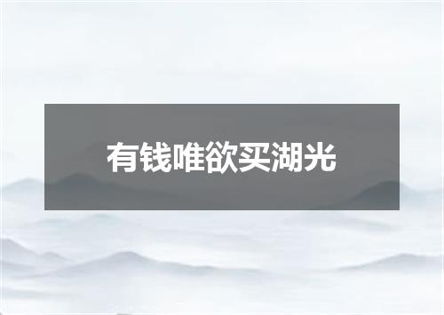 有钱唯欲买湖光