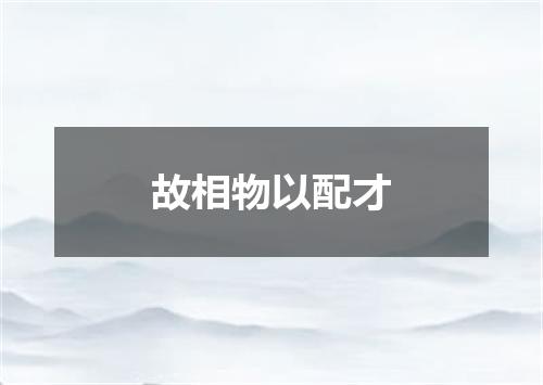 故相物以配才