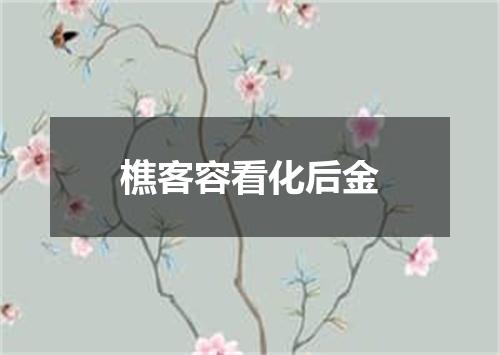 樵客容看化后金