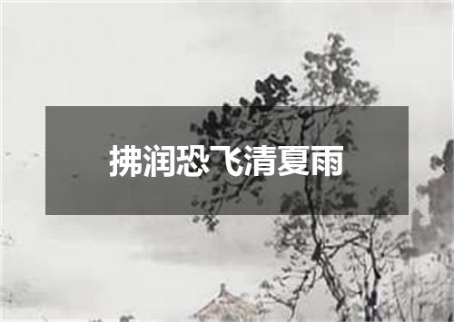 拂润恐飞清夏雨
