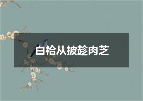 白袷从披趁肉芝