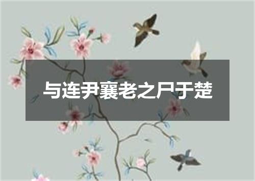 与连尹襄老之尸于楚