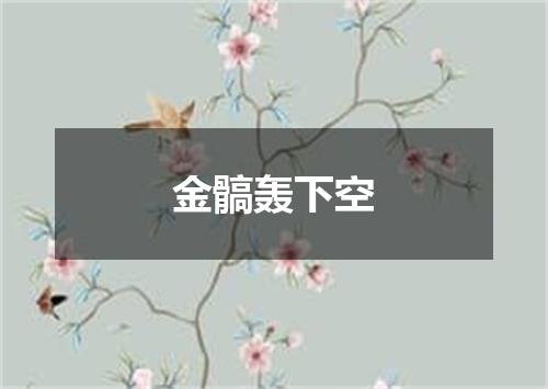 金髇轰下空