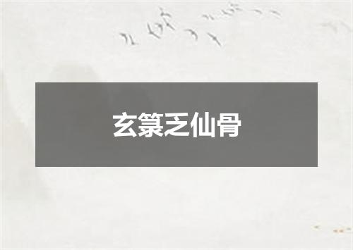 玄箓乏仙骨