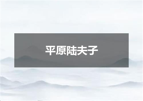 平原陆夫子