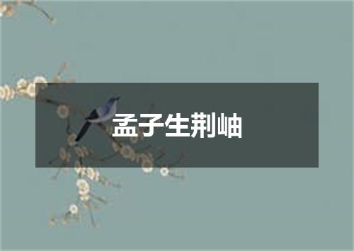 孟子生荆岫