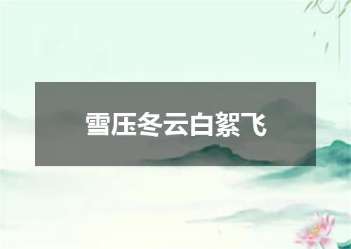 雪压冬云白絮飞