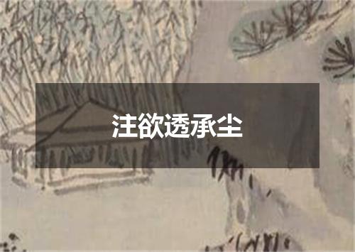 注欲透承尘