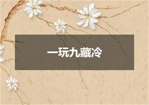 一玩九藏冷