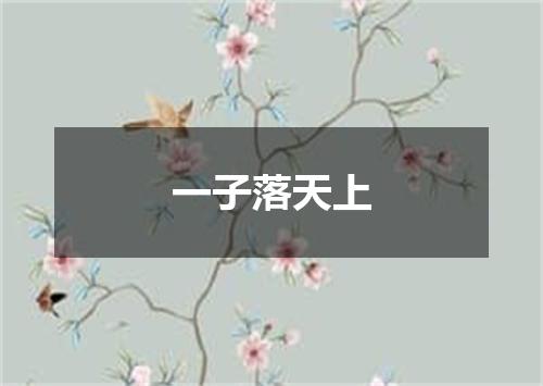一子落天上