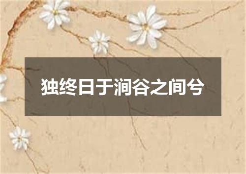 独终日于涧谷之间兮