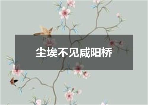 尘埃不见咸阳桥