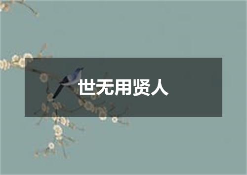 世无用贤人