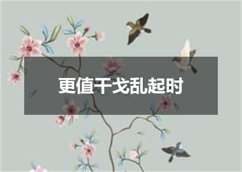 更值干戈乱起时