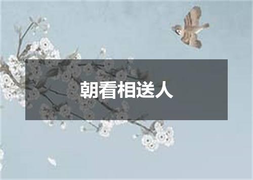 朝看相送人