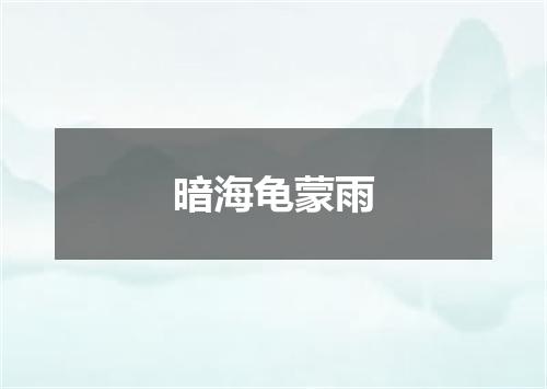 暗海龟蒙雨
