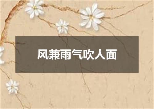 风兼雨气吹人面