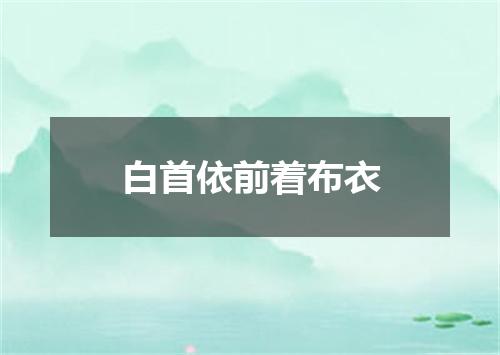 白首依前着布衣