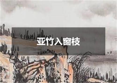 亚竹入窗枝