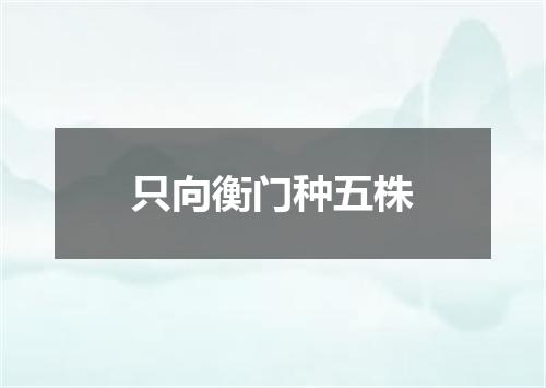 只向衡门种五株