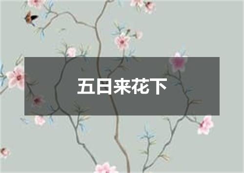 五日来花下