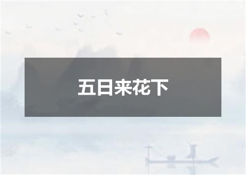 五日来花下