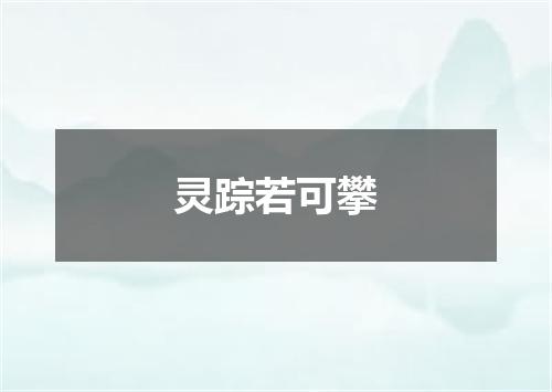 灵踪若可攀