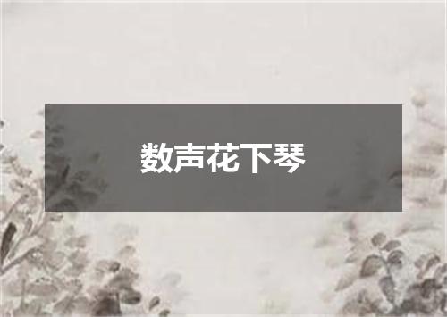 数声花下琴