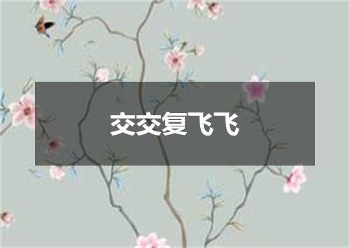 交交复飞飞