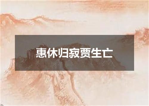 惠休归寂贾生亡