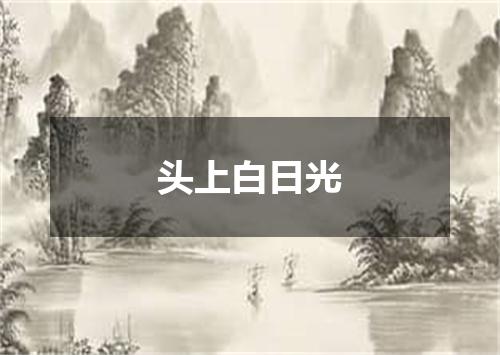 头上白日光