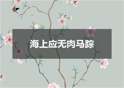 海上应无肉马踪