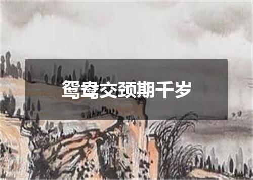 鸳鸯交颈期千岁