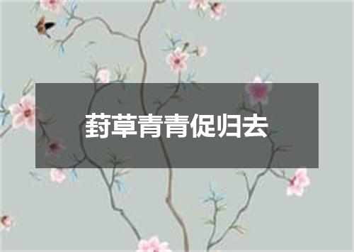 葑草青青促归去