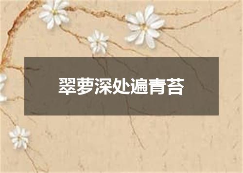 翠萝深处遍青苔