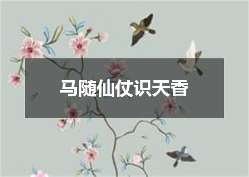马随仙仗识天香