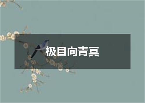 极目向青冥
