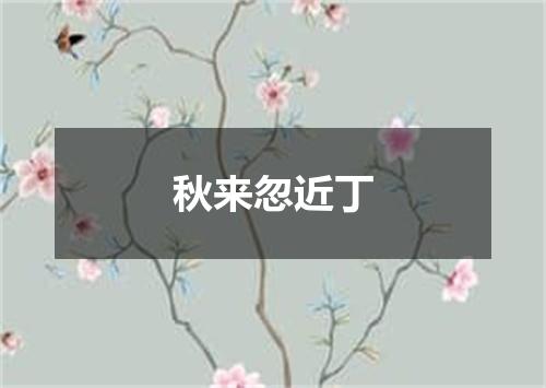 秋来忽近丁
