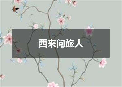 西来问旅人