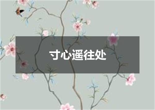 寸心遥往处