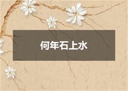 何年石上水