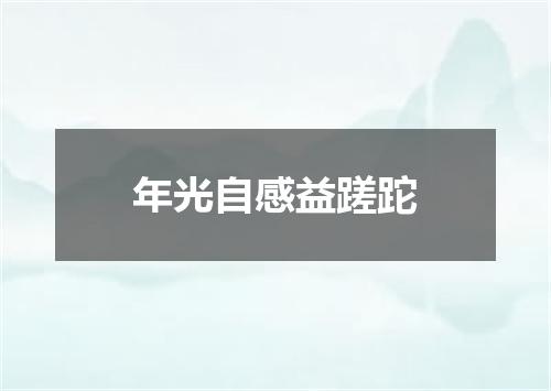 年光自感益蹉跎